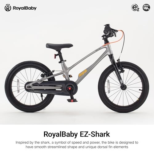 Bicicletta royalbaby magnesio - royalbaby,